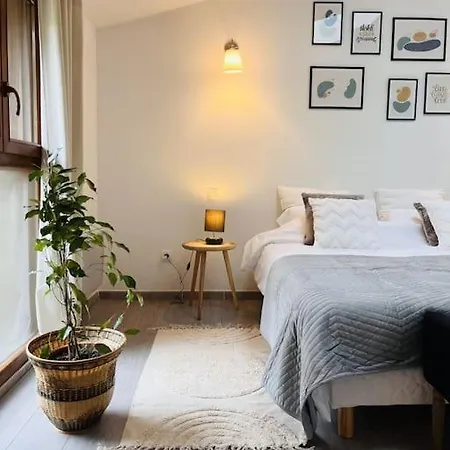 Apartment Superbe Maison Plein Centre Merville (Haute-Garonne)