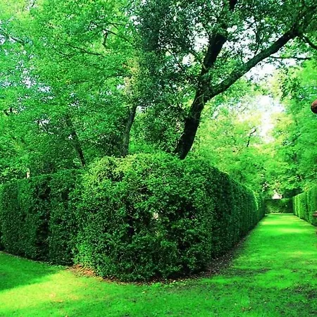 Superbe Maison Plein Centre * Merville (Haute-Garonne)